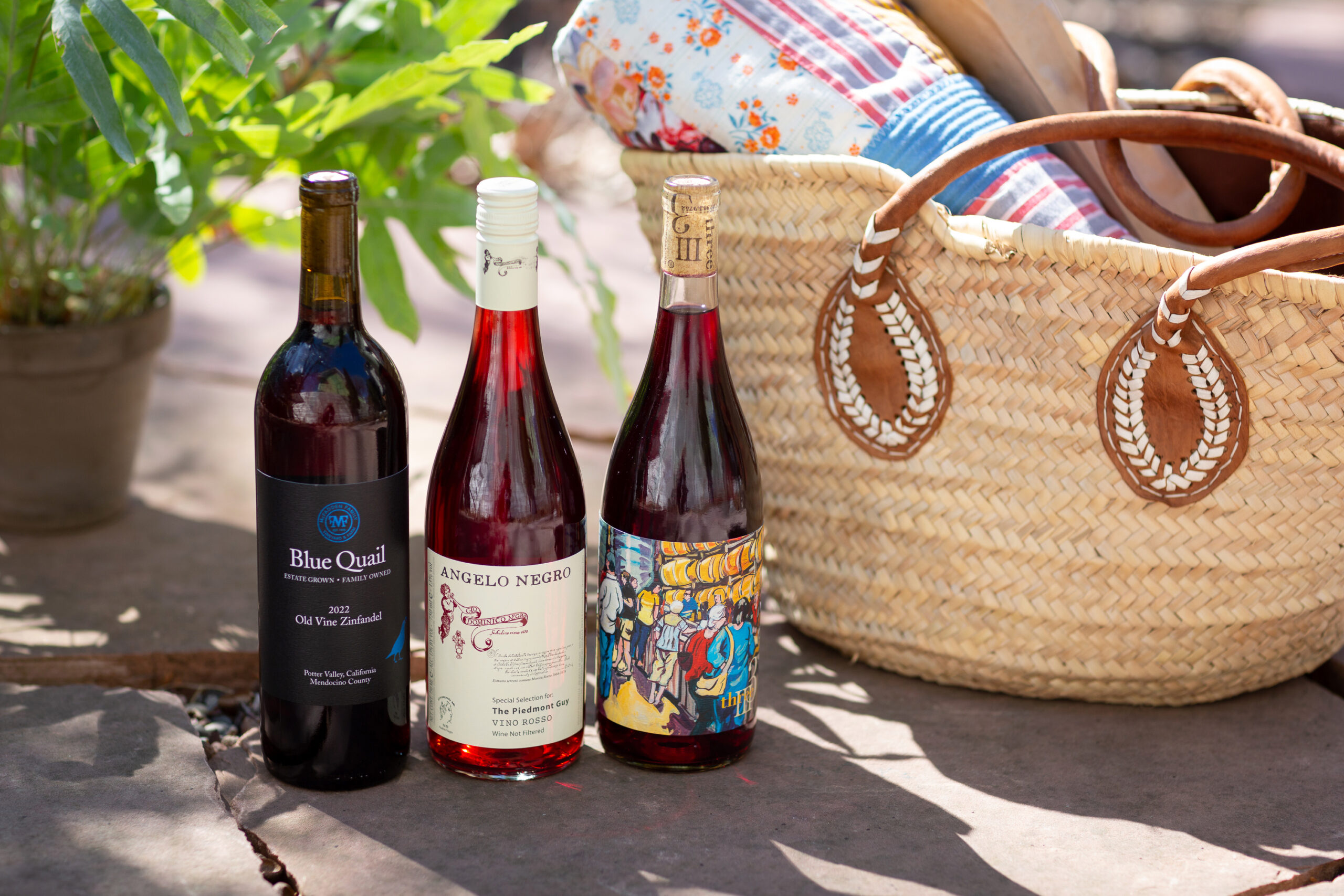 Three bottles of red wine on a sunny sidewalk next to a picnic basket